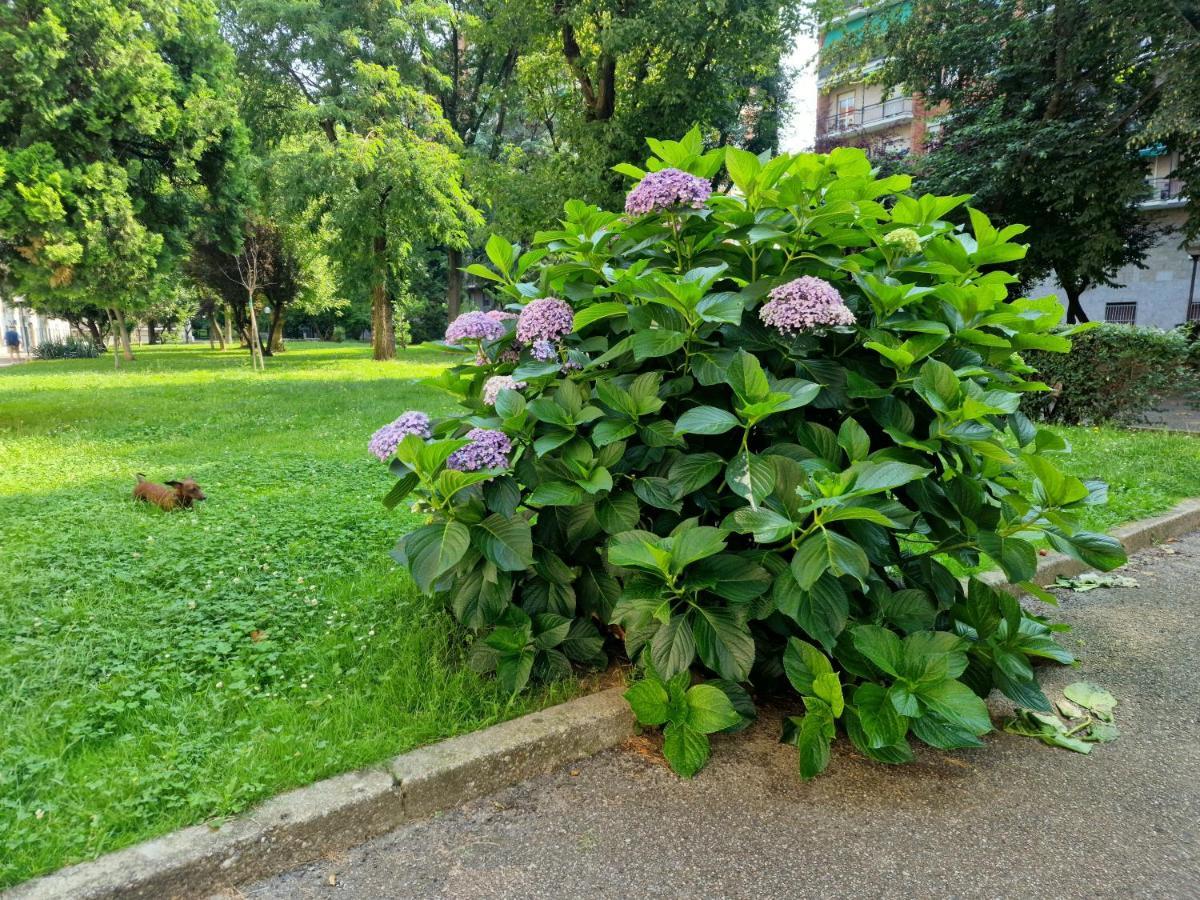 Apartament Giardino Sul Naviglio Mediolan Zewnętrze zdjęcie