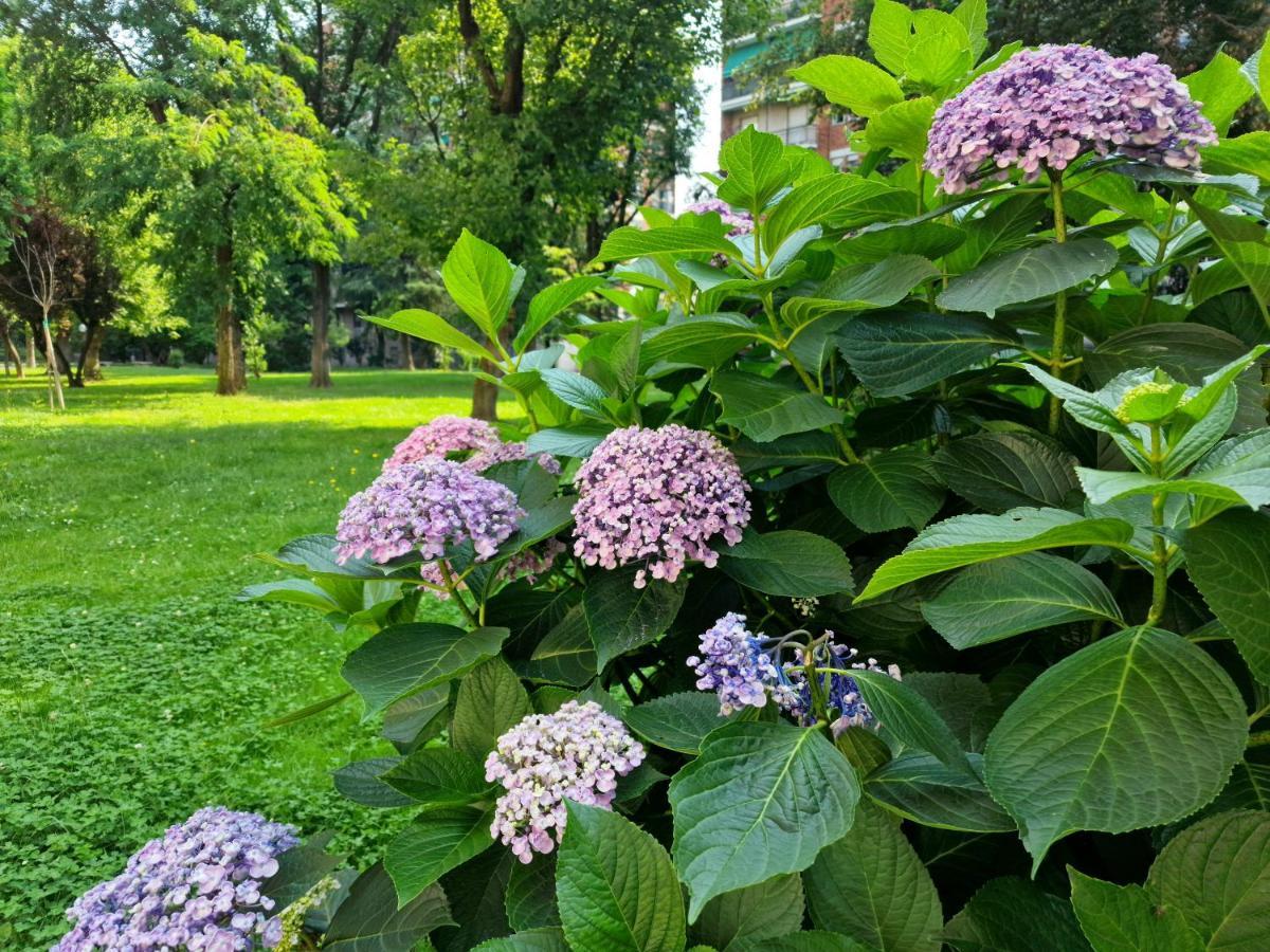Apartament Giardino Sul Naviglio Mediolan Zewnętrze zdjęcie